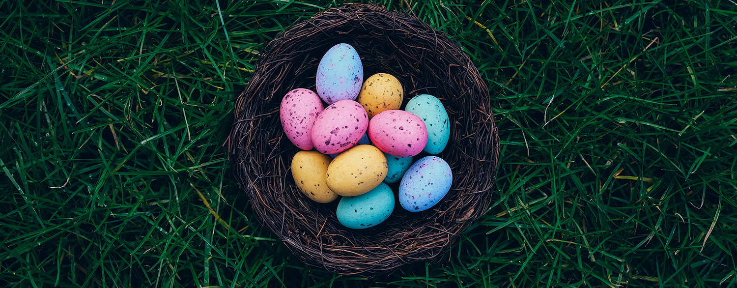 Read more about the article Make Easter Inclusive With This Sensory Friendly Easter Egg Hunt