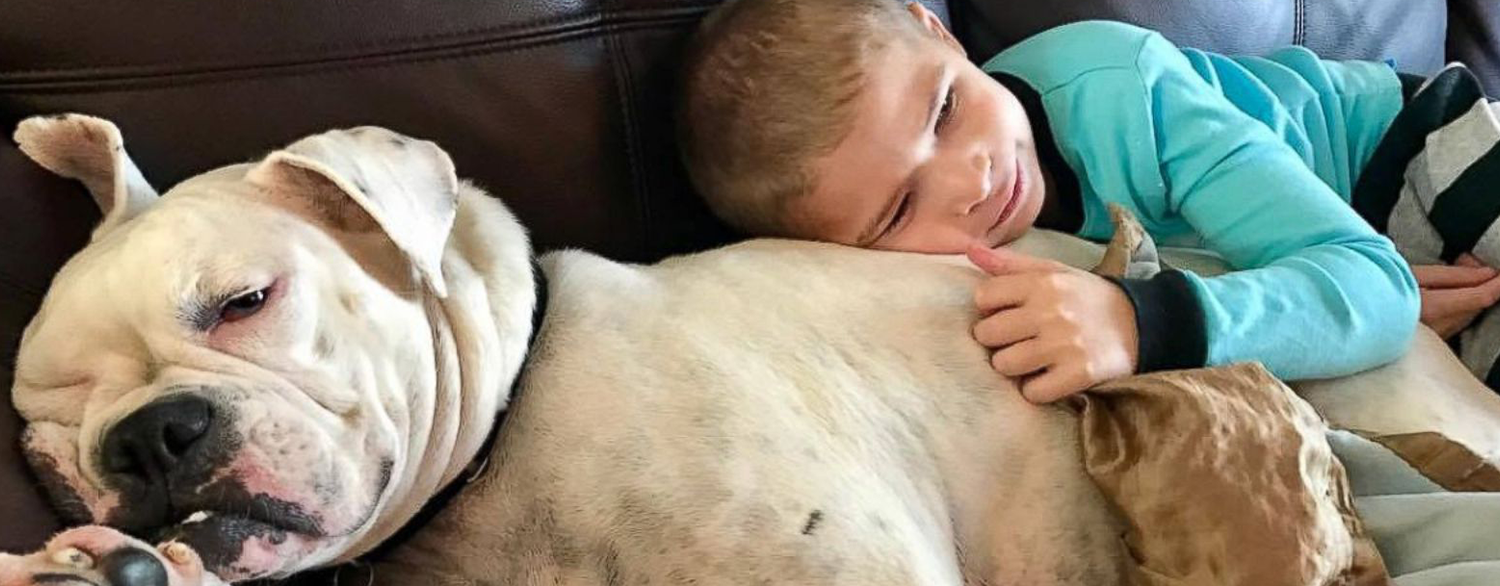 Read more about the article The Boy and the Dog Who Communicate Through Sign Language