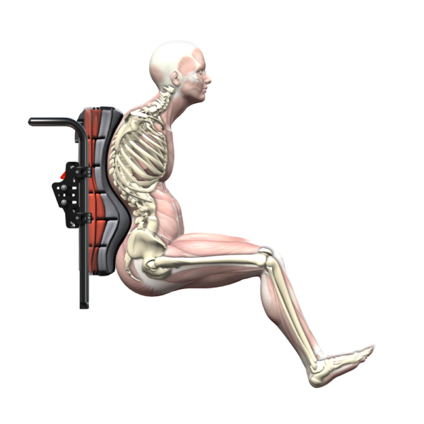 Super Shape Wheelchair Backrest | Active Rehab