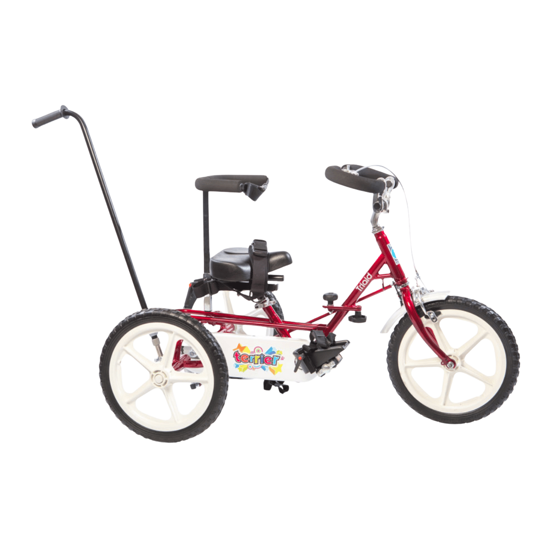Theraplay Terrier Tricycle