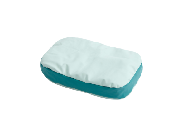 Next Generation - Oval Pillow